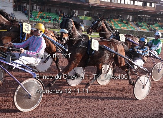 Prince du Chevrel 1. Tri 554x400 prot